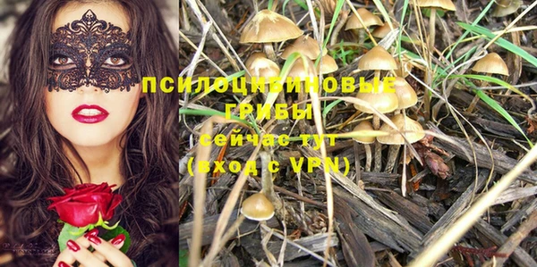 мет Белокуриха