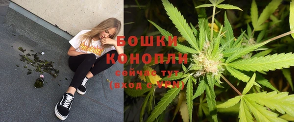 молекула духа Белоозёрский