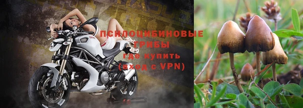 мет Белокуриха