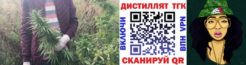 ТГК вейп  Купить закладки  Олёкминск 