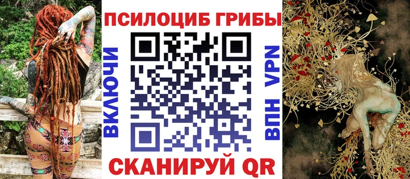 Купить где  Олёкминск  Галлюциногенные грибы MAGIC MUSHROOMS 