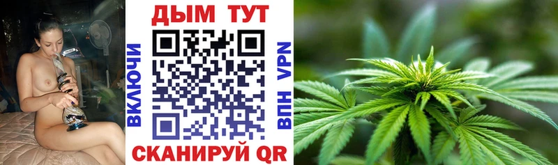Марихуана SATIVA & INDICA  Купить  Олёкминск 